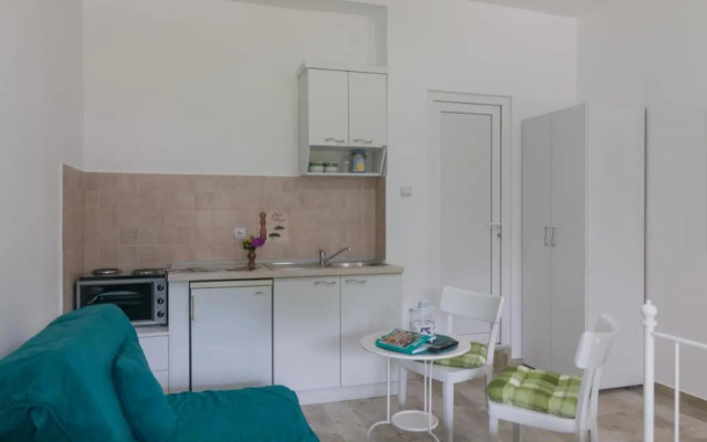 Drina - Bajina Basta