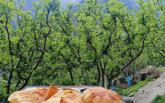 Harsiwoodstone woodstone orchardstay