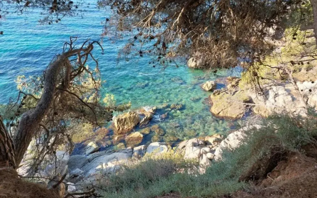 Cozy Apartment, 350m From Beach