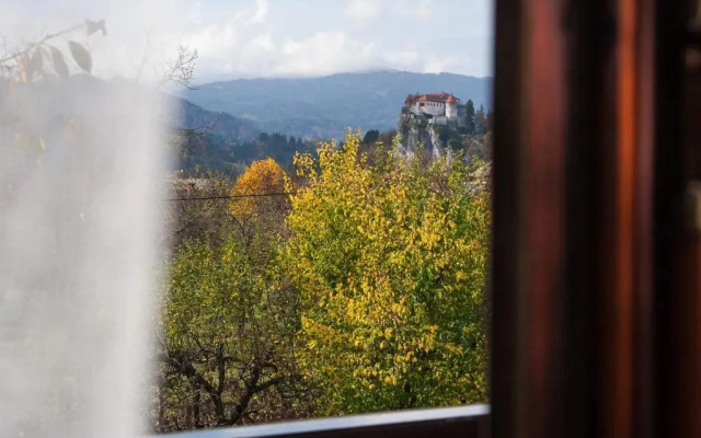 B&B Tereza
