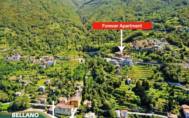 FOREVER by Design Studio