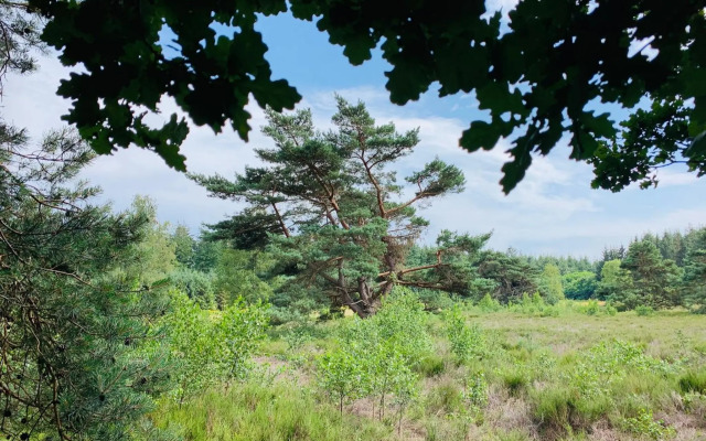 Gouden Hert: relaxen in comfort! #otterlo #hogeveluwe