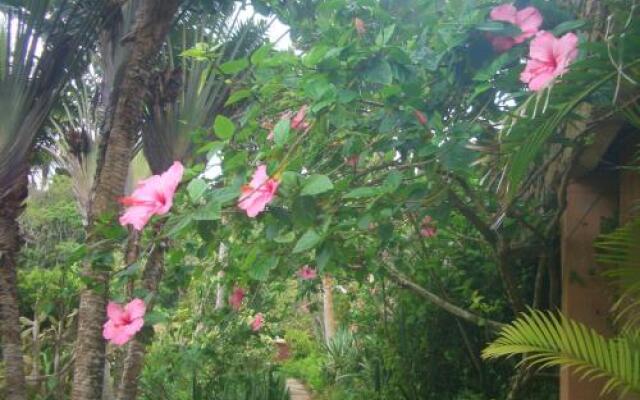 Anfiteatro Tropical