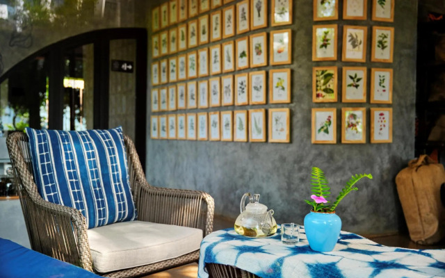 The Coffee City - Healing & Retreats