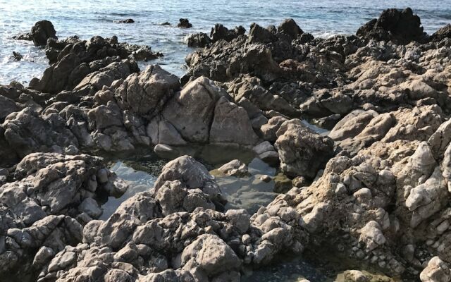Sea Breeze