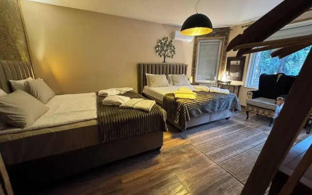 Villa Boyana City & Relax