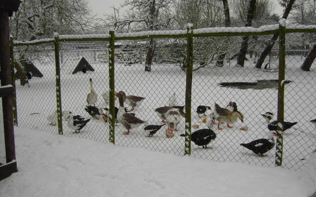House Situated Peacefully on a Vast Green