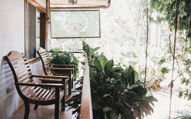 Hotel Javy