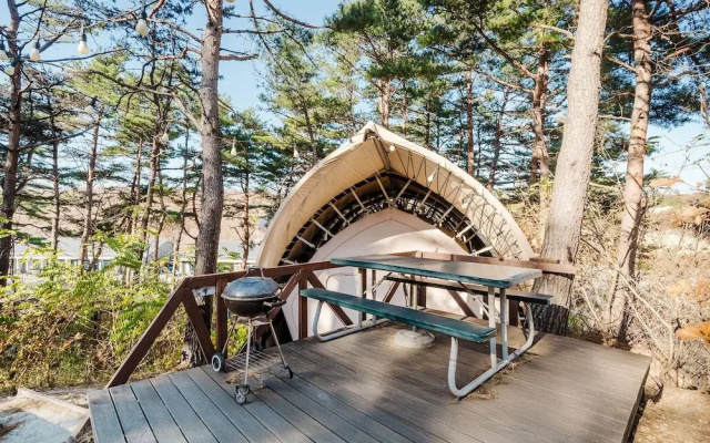 Sokcho Starry Night Glamping
