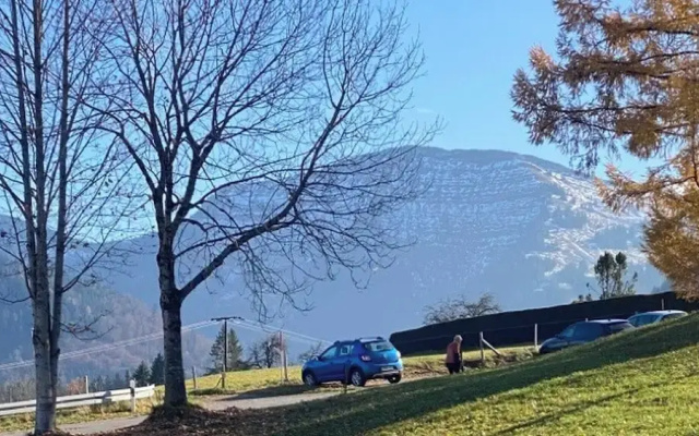 Fewo "schneerosenblüte", Oberstaufen-steibis
