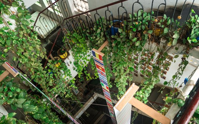 Dreamyard Udaipur - Hostel