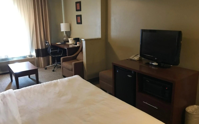Comfort Inn Idaho Falls - фото 4