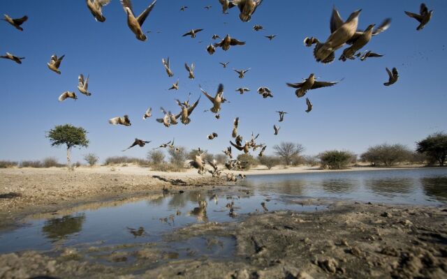 Grassland Bushman Lodge