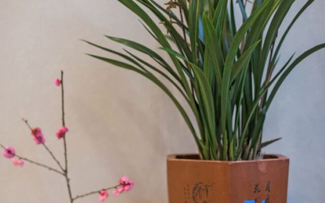 Zhihao Homestay