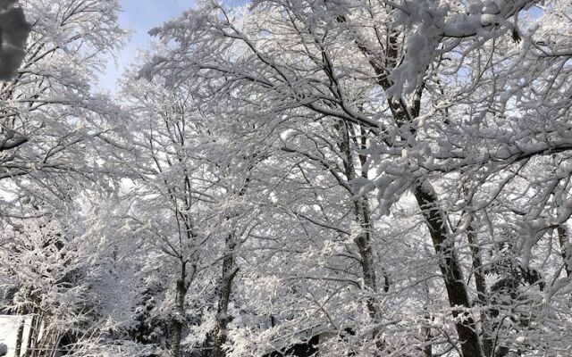 The Guest House Japan Hakuba