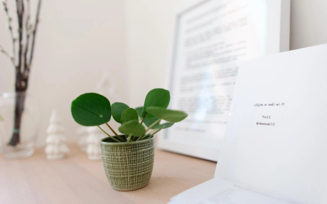 Luxusní horský apartmán v centru Harrachova