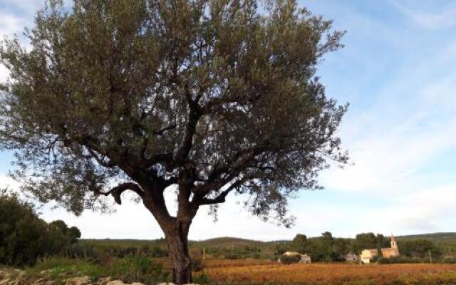 Gîte " Au Milieu des Vignes "