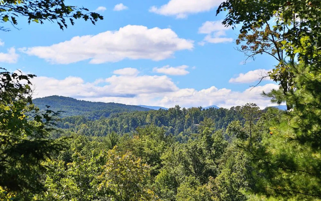 Dare To Bear 238 By Redawning