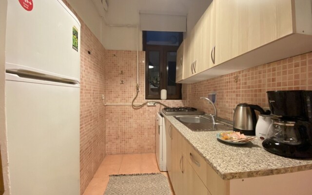 Sleek Flat With Central Location in Beyoglu