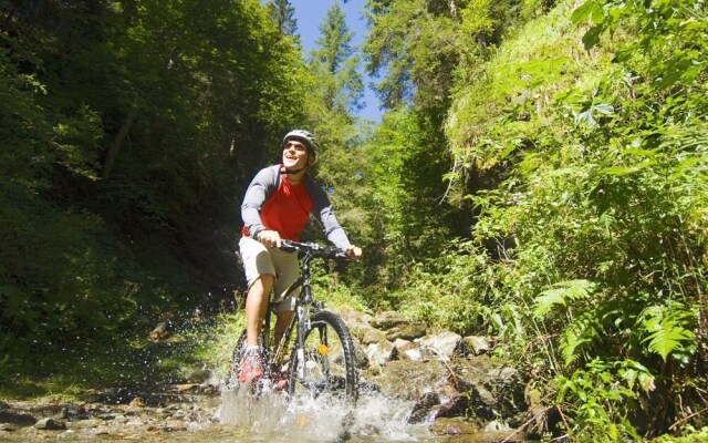 Stunning Apartment in Forstau Salzburg Near Ski Area