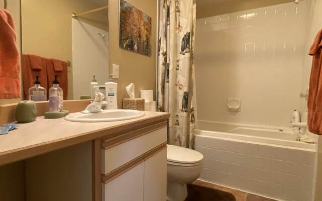 Mountain Harbor #209 2 Bedroom Condo