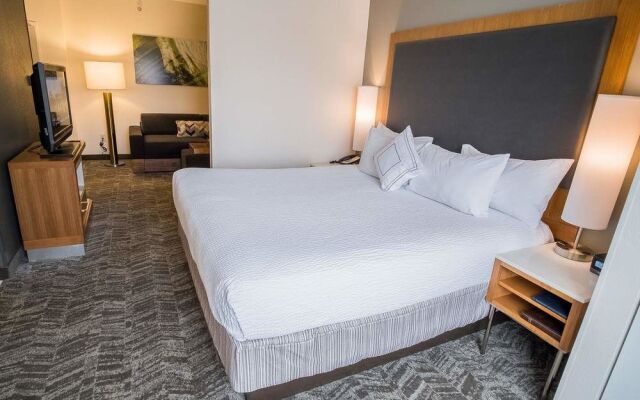 SpringHill Suites Winston-Salem Hanes Mall