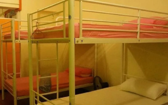 Best Bunk Beds Lodge