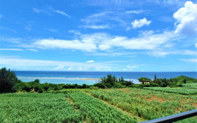 Grand blue 406