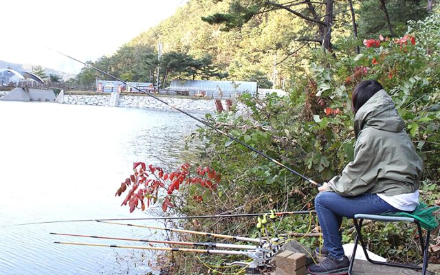 Yangpyeong Dotorigol Pension