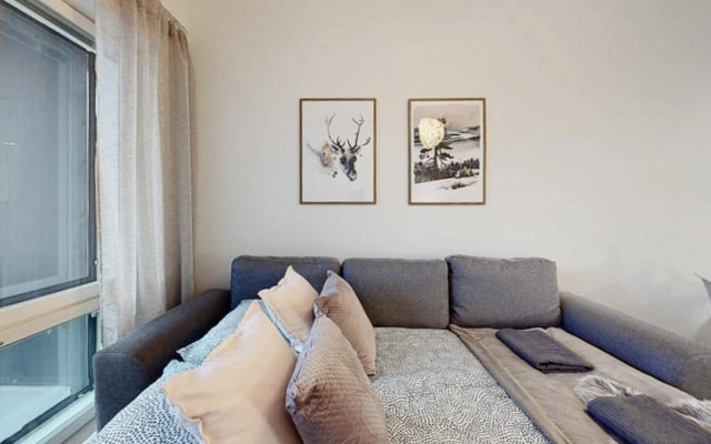 Apartment Scandinavia IV