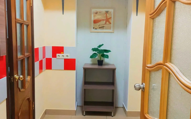 Ракушка Анапа