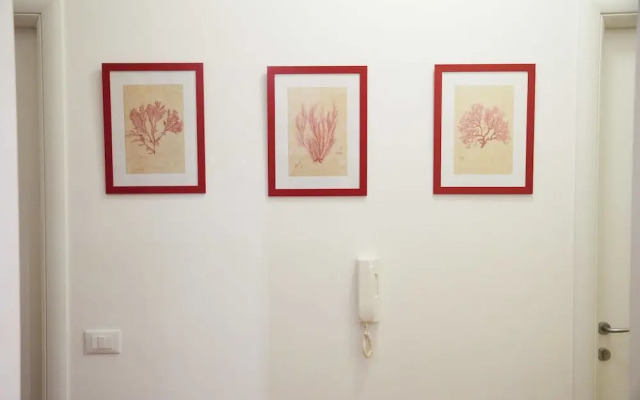 Vatican Great Beauty