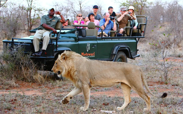 Motswari Private Game Reserve Resort by NEWMARK