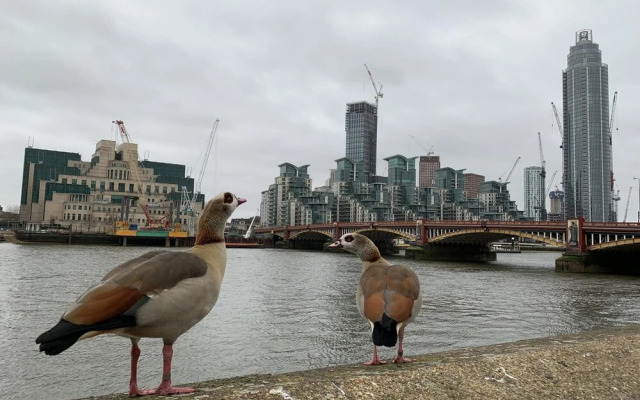 Luxury Modern 2BD Flat in Centre