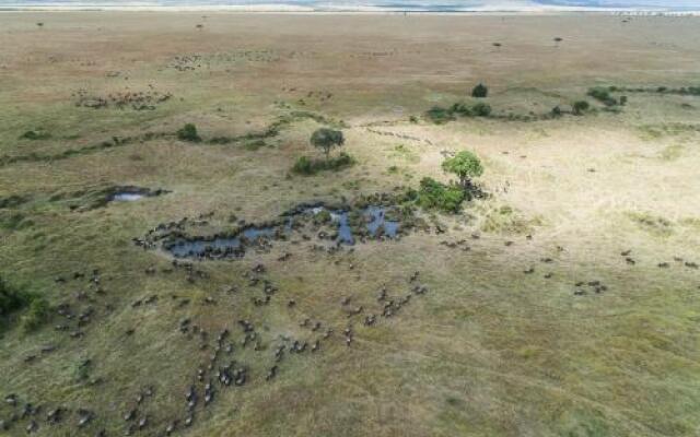 Losokwan Luxury Tented Camp - Maasai Mara