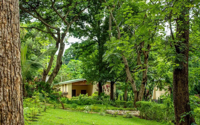 Villa 33