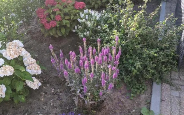 Logies21 Texel