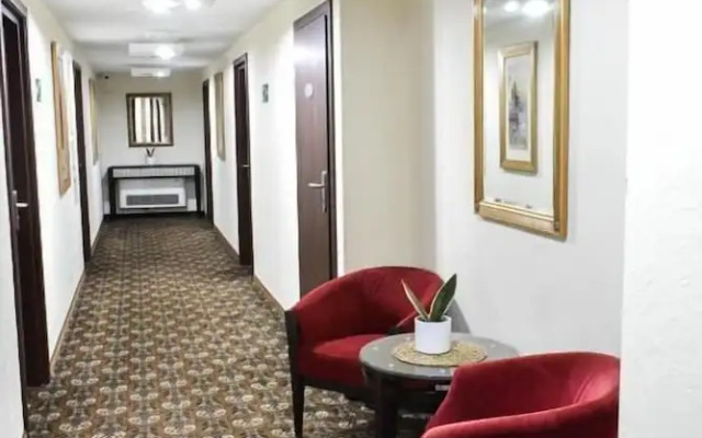 Great Polonia Kraków Kazimierz