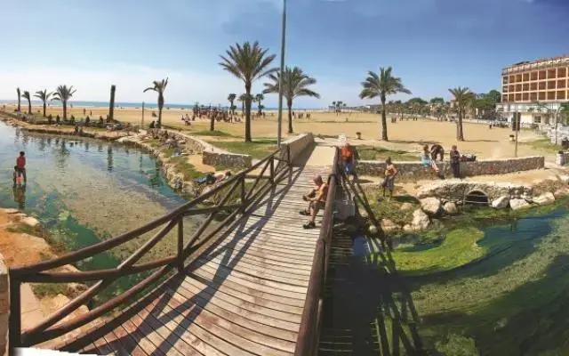 Roulette Oferta Dorada Medsur 4****