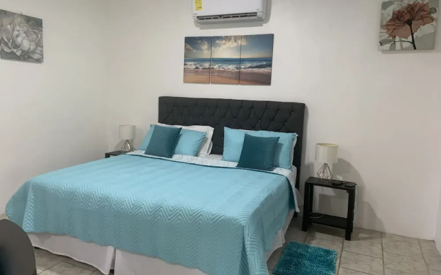 Beachfront apartment Punta uva
