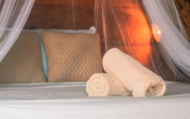 Mapache Hostel & Camping