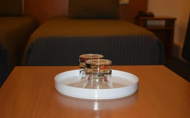 Hotel Professor