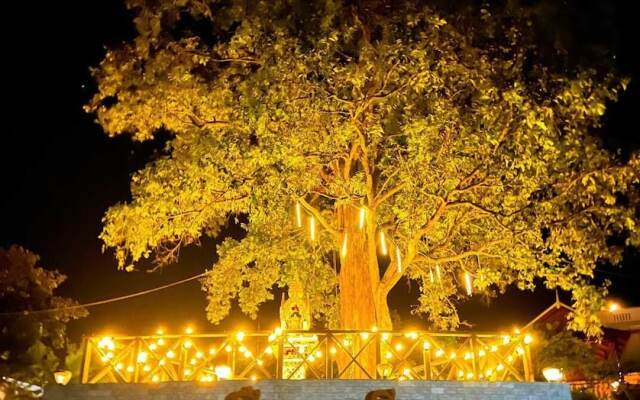 The Park Resort Mondulkiri