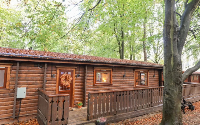 Leafy Hollow Lodge