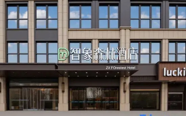 zhixiangsenlin