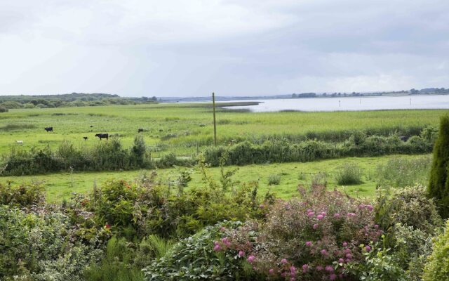 Inny Bay B&B