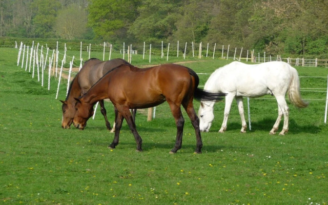 Keepers Lodge