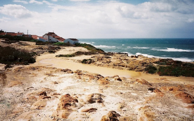 João Jungle