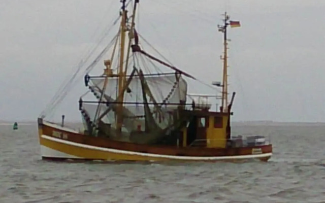 Dinkla 1 Comfortable Holiday Residence