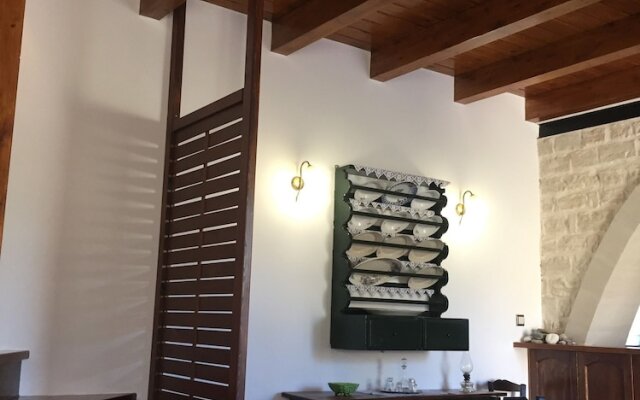 Dim Art Stone House